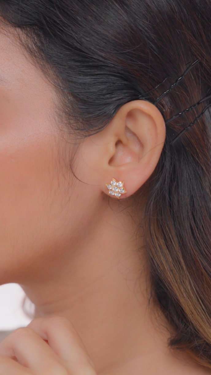 Devi 7 Kallu Thodu Diamond Earring