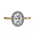 A round diamond ring with smaller diamonds around it, set in a gold band.